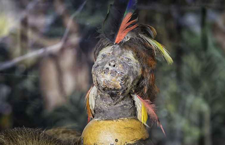 Tsanta Schrumpfköpfe in Südamerika