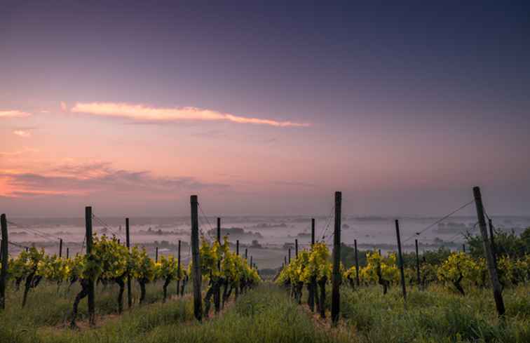 Visiter les régions viticoles de France