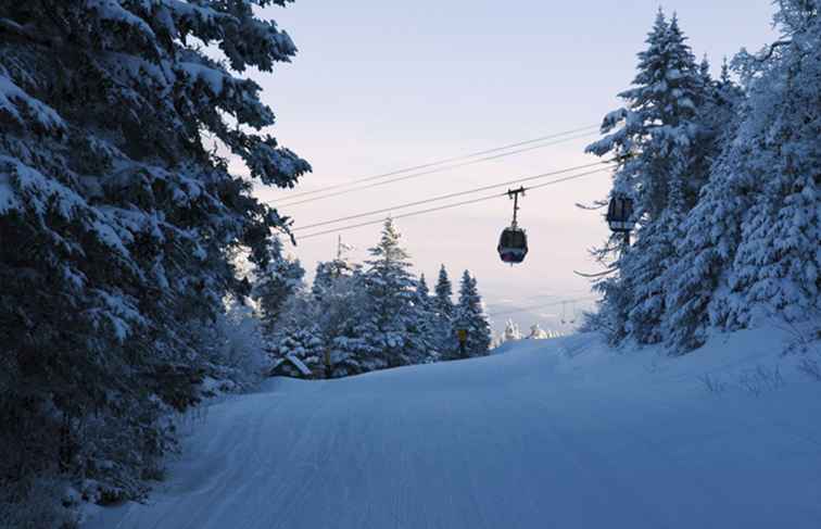 Uw ultieme noordoostelijke wintervakantie / 