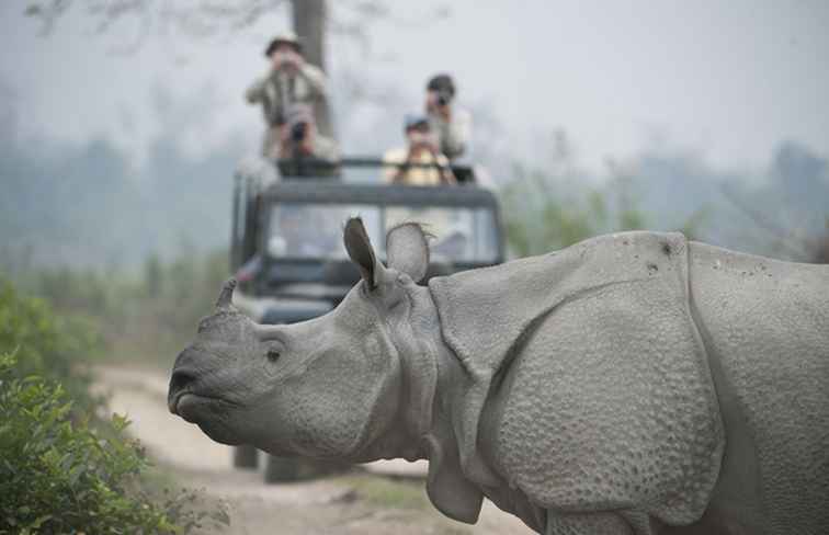 13 Top Nationalparks in Indien zu besuchen / 