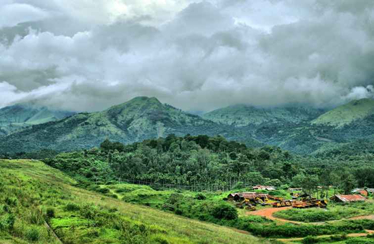 18 Lush Photos of Kerala's Wayanad District / Kerala