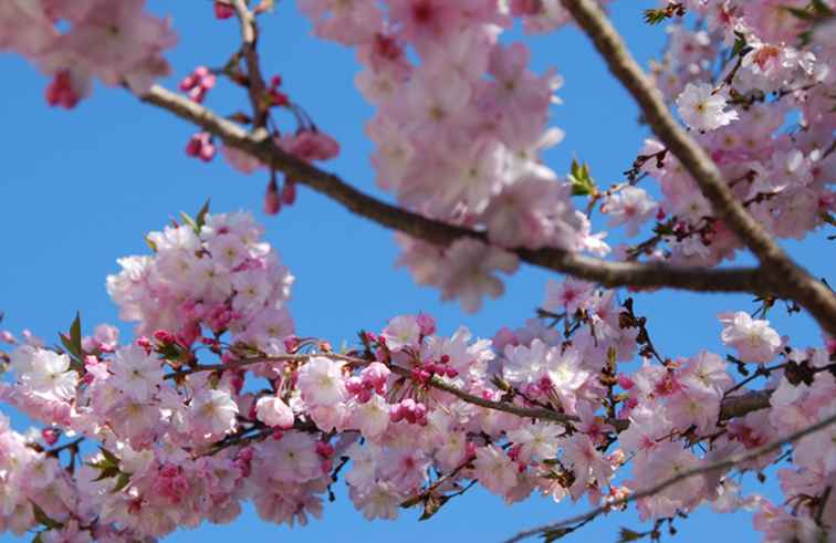 April Weather in the Southeast U.S. / 