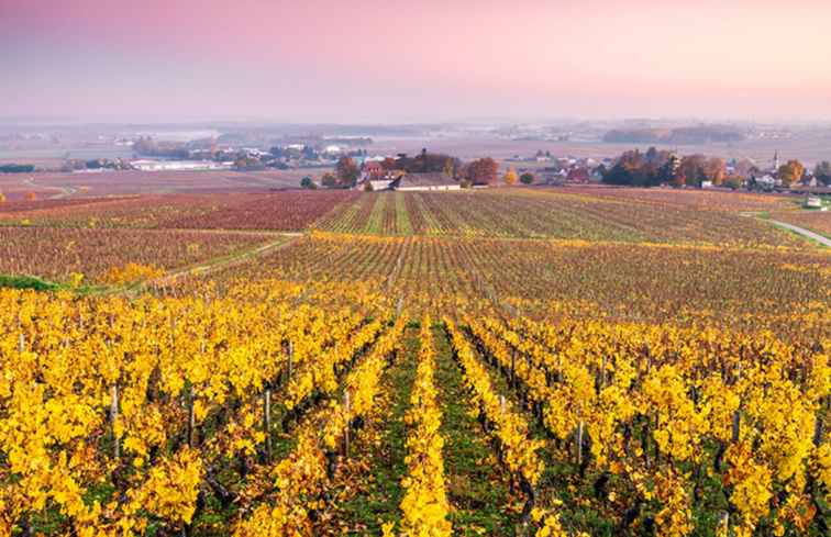 Burgund Uncorked Beaune und die Burgunder Weinregion / Frankreich