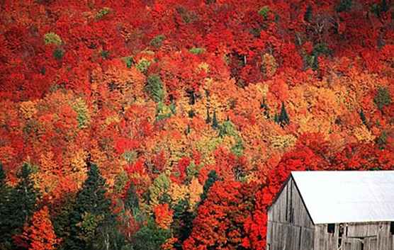 De beste herfstfestivals van Canada / 