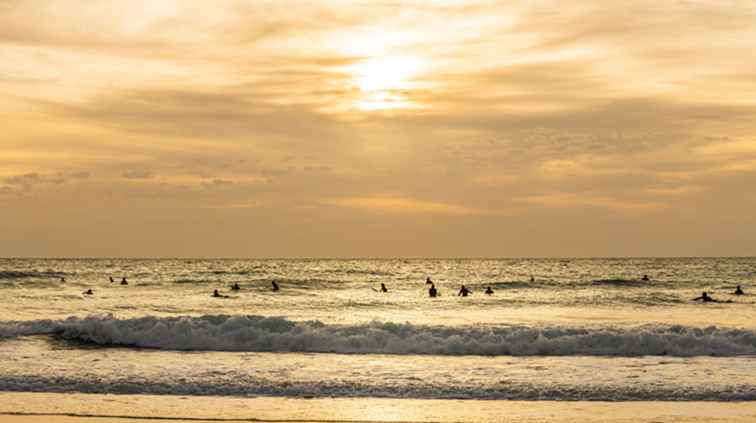 Dagtochten van Valencia naar nabijgelegen stranden en steden / Spanje