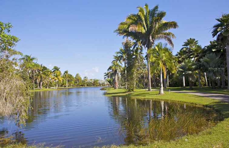 Het klimaat en het weer in Florida / Florida