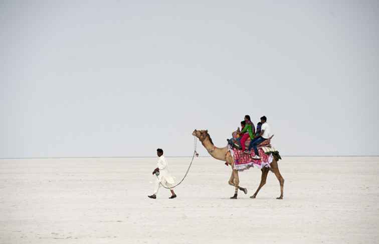 Great Rann von Kutch Essential Reiseführer / Gujarat