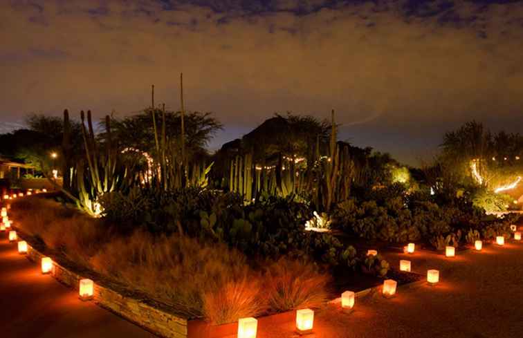 Lumières de vacances à Phoenix / Arizona