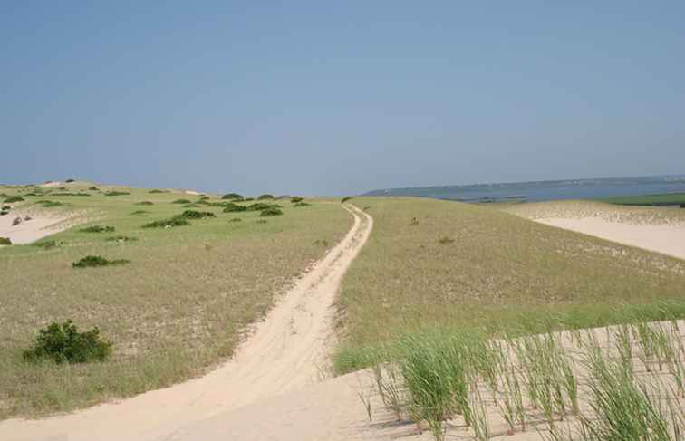 Comment explorer les dunes de sable de Cape Cod / Massachusetts