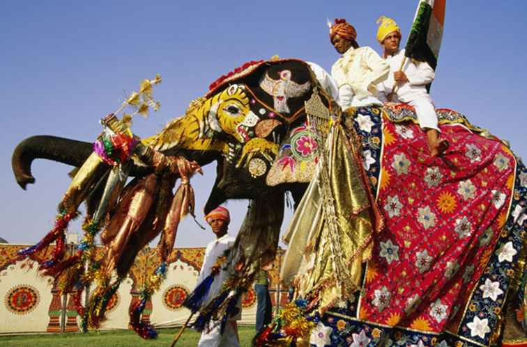 Jaipur Elephant Festival Vad du behöver veta / Rajasthan