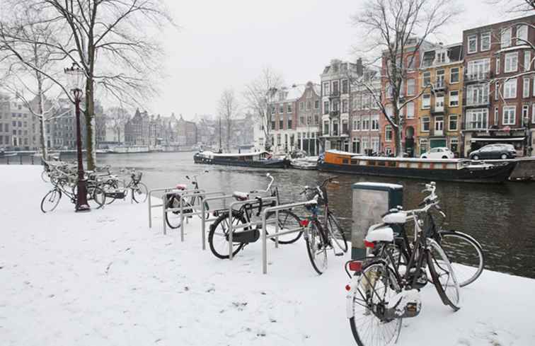Januari i Amsterdam - Reseinformation, Väder & Evenemang