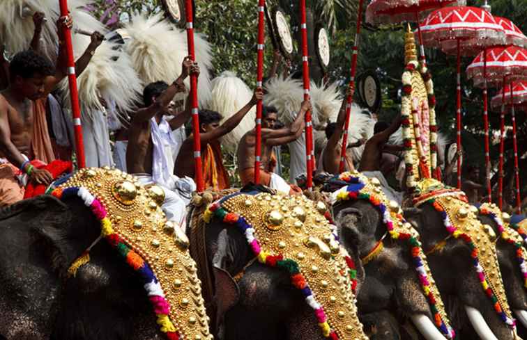Guida essenziale per il festival del tempio e dell'elefante del Kerala / Kerala