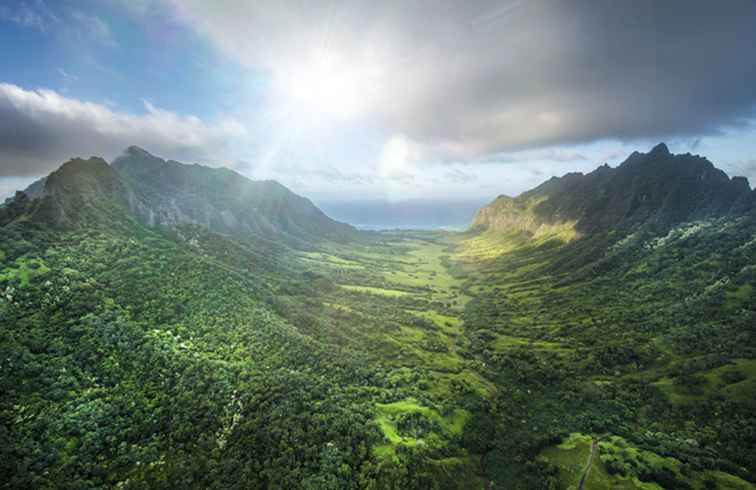 Les locaux mangent hors des sentiers battus à Oahu / Hawaii