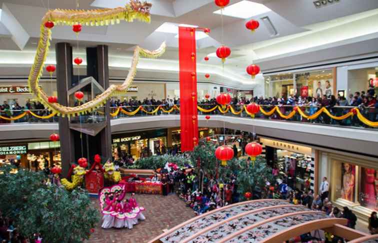 Lunar New Year 2018 - Fair Oaks Mall / Washington, D.C..