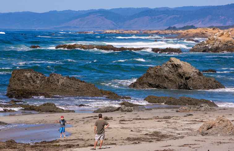 Stranden van Mendocino County / Californië