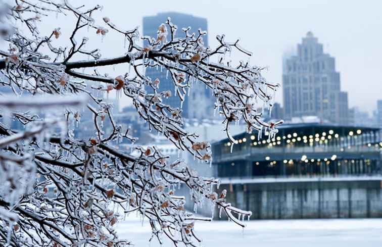 Montreal festivaler januari 2018 måste ses