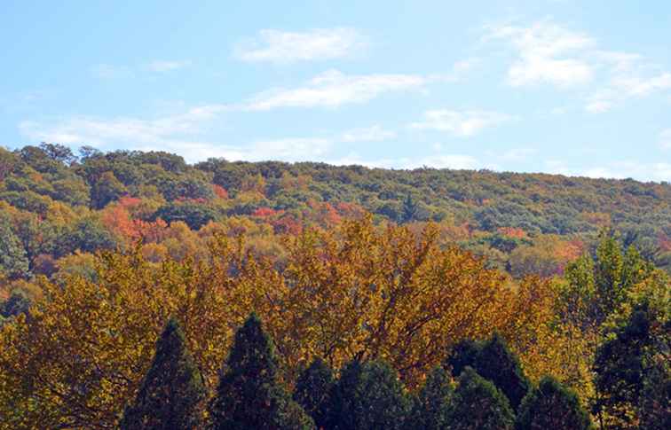 New England Fall Foliage Reports / 