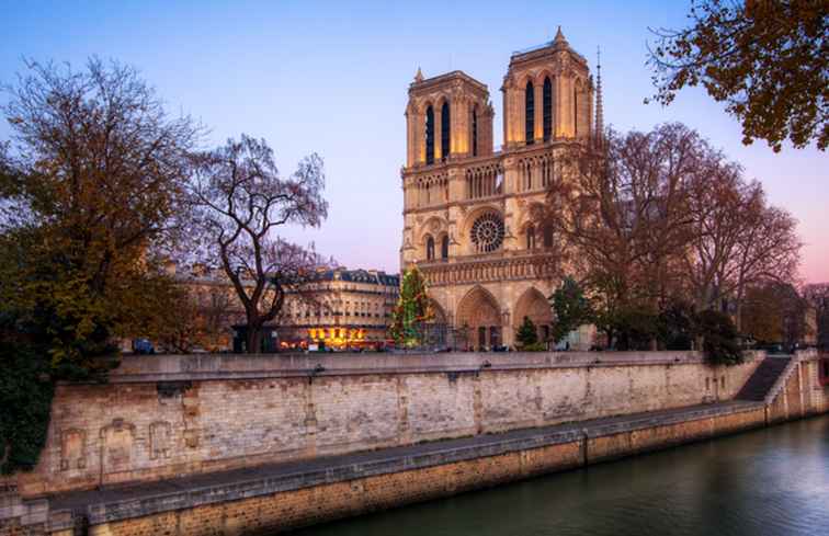 Cattedrale di Notre Dame Completa le informazioni dei visitatori / Francia