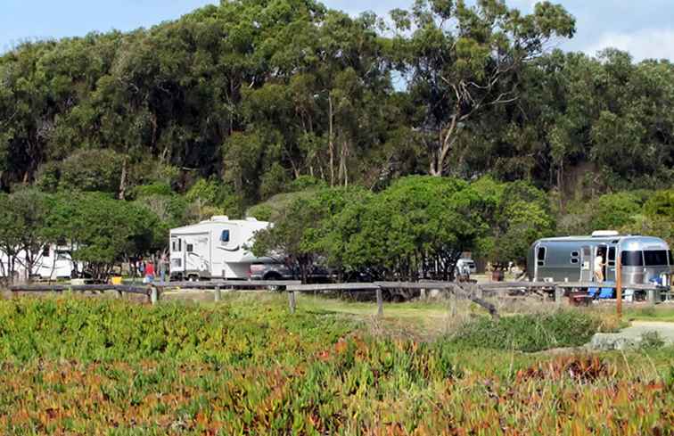 Pismo State Beach North Campground / California