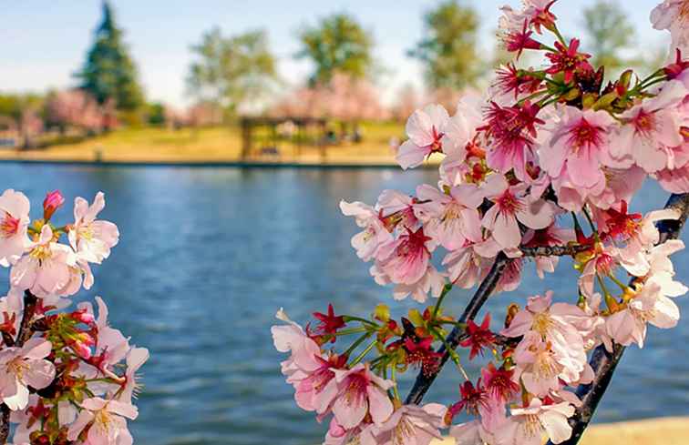 San Diego en primavera / California