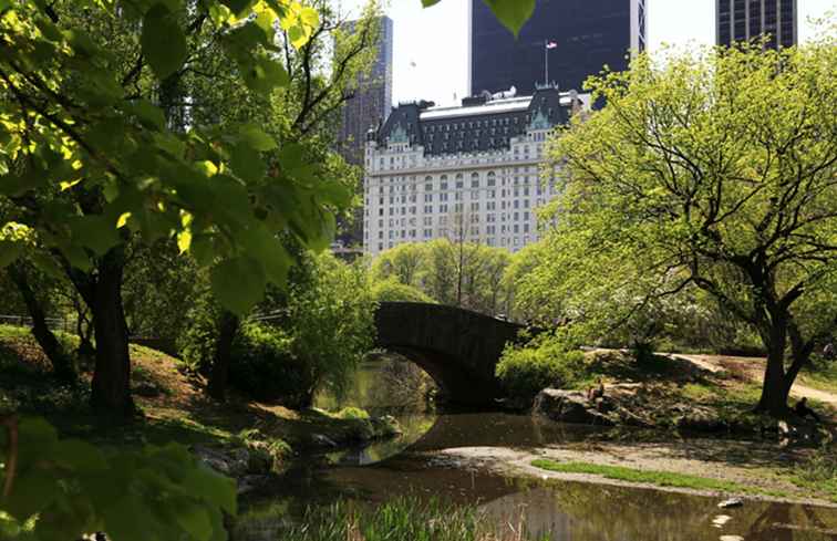 Vedi 10 Spot a Central Park da Famous Films / New York