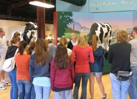 Visite de la ferme laitière de Shamrock Farms / Arizona