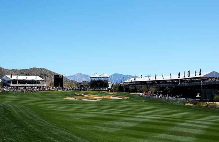 Le meilleur des terrains de golf et des complexes de golf de Tucson / Le golf