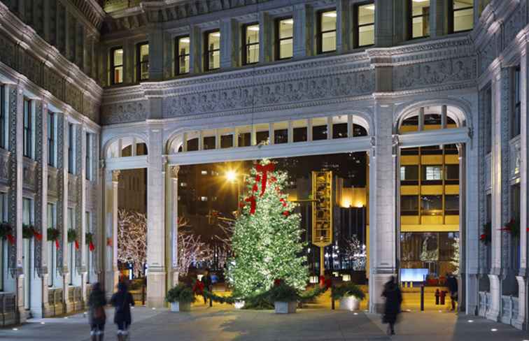 The Big Chicago 10 Dónde encontrar las mejores luces y pantallas navideñas