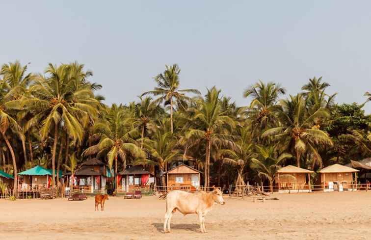 Le 10 migliori spiagge in India / 