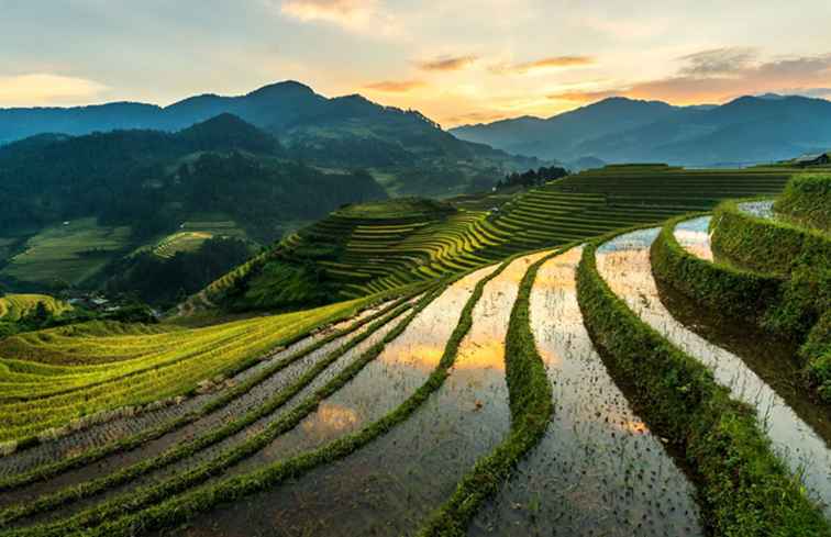Die Top 10 Gründe, Vietnam zu besuchen