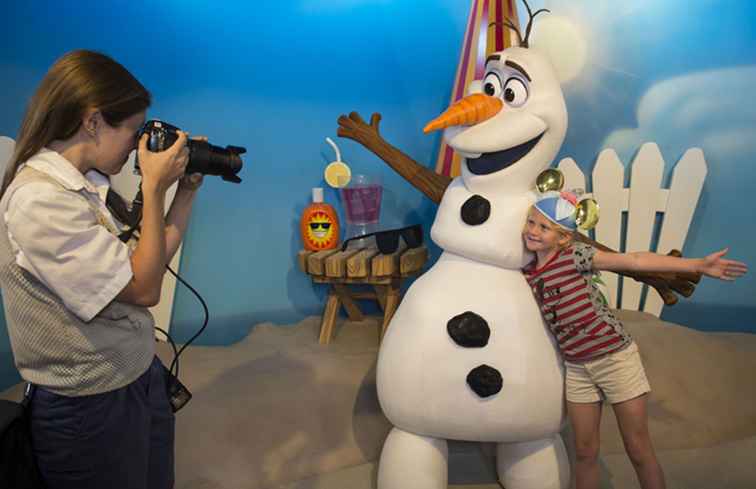 Le 5 migliori scelte per i fan di Frozen su Disney World / Florida