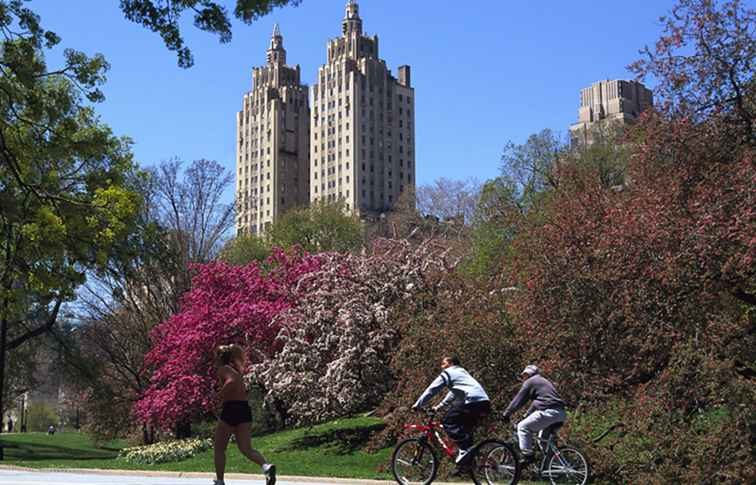 Principales programas de televisión ambientados en Nueva York / Nueva York