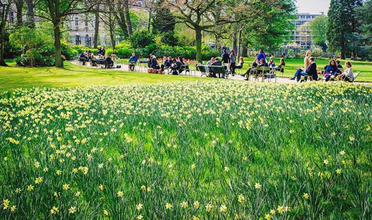 Ein Besuch in Paris im Frühling Wie man das Beste daraus macht? / Frankreich