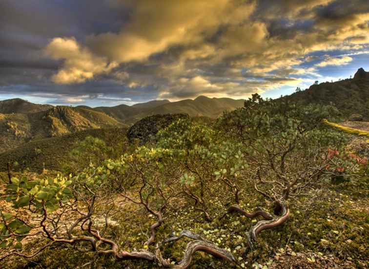 Een bezoek aan het Pinnacles National Park / Californië