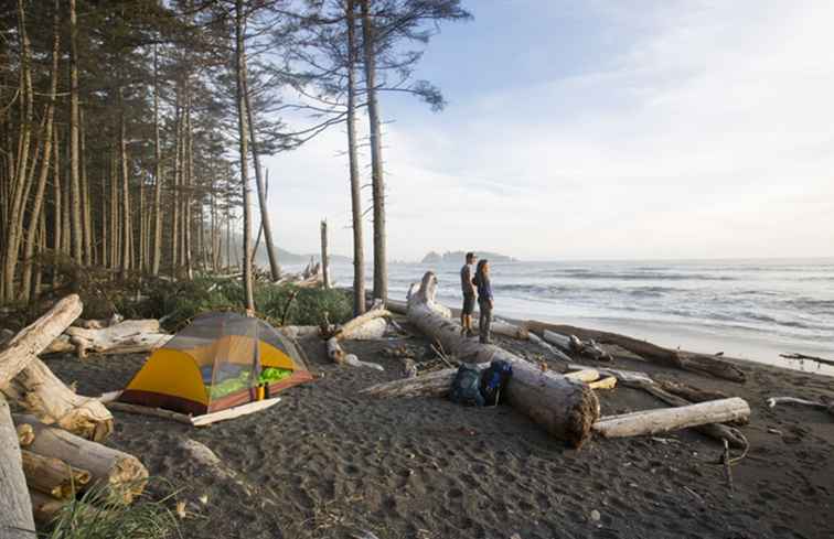 Was zu sehen und zu tun im Olympic National Park / Washington