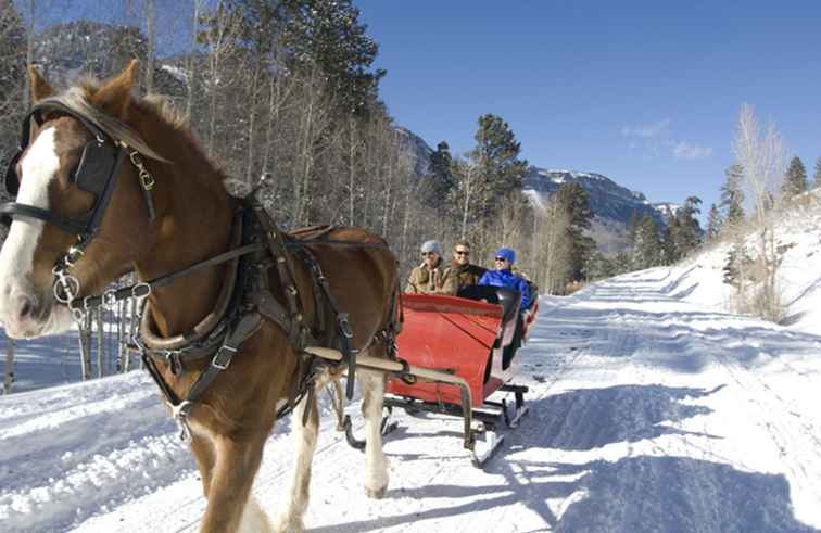 Winter-Pferdeschlitten fährt in West-Pennsylvania