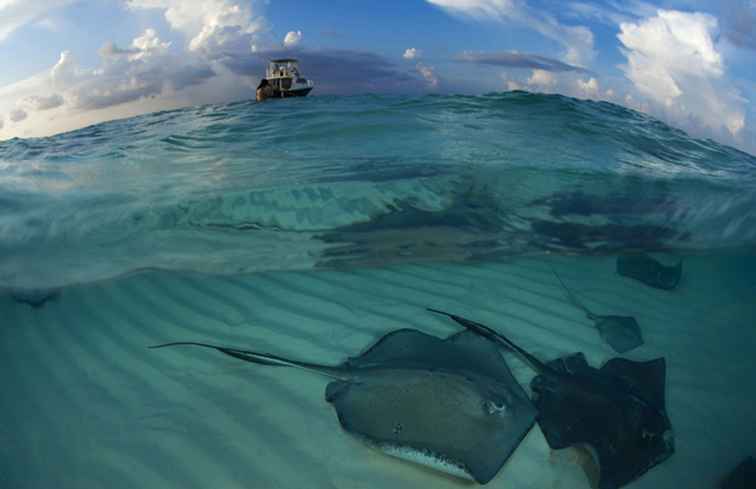 10 fantastici punti di immersione dei Caraibi / 