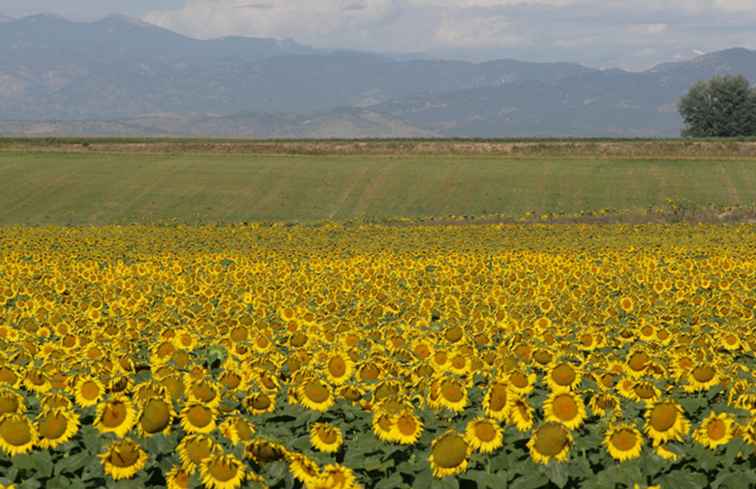 5 saker som gör dig lycklig i Colorado / Colorado