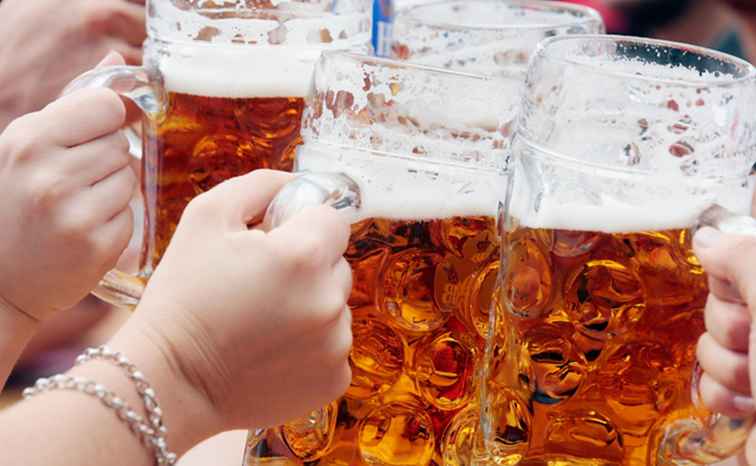 500 anni di purezza della birra tedesca / Germania