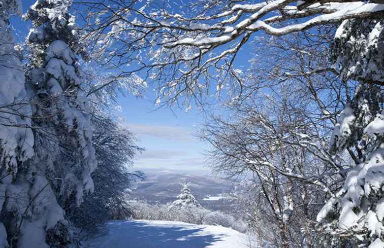 7 Orte, an denen Sie vergessen werden Es ist Winter in New England / 