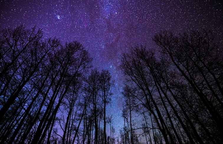 7 parchi per camper da visitare prima della fine dell'inverno / Consigli e suggerimenti