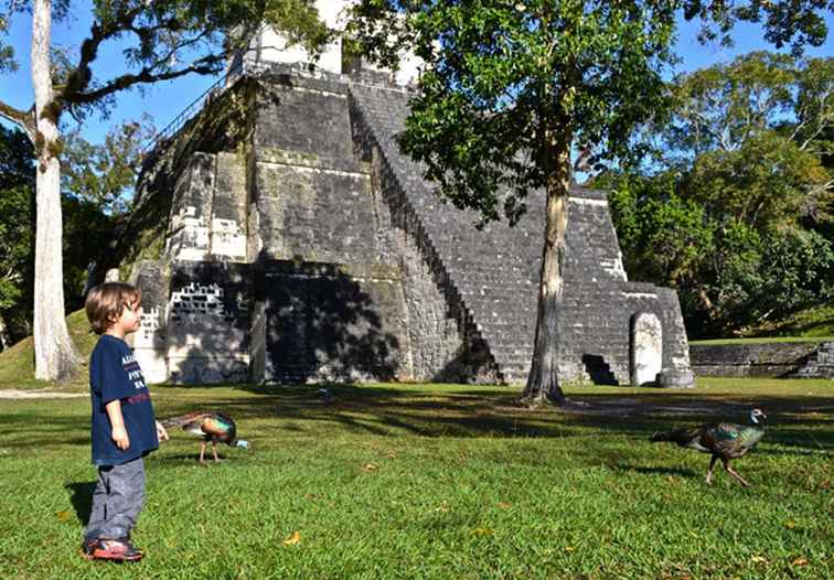 Tout sur le parc national de Tikal - Guatemala / Guatemala