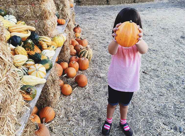 Appels, boomgaarden, pompoenen en Hayrides / Indiana