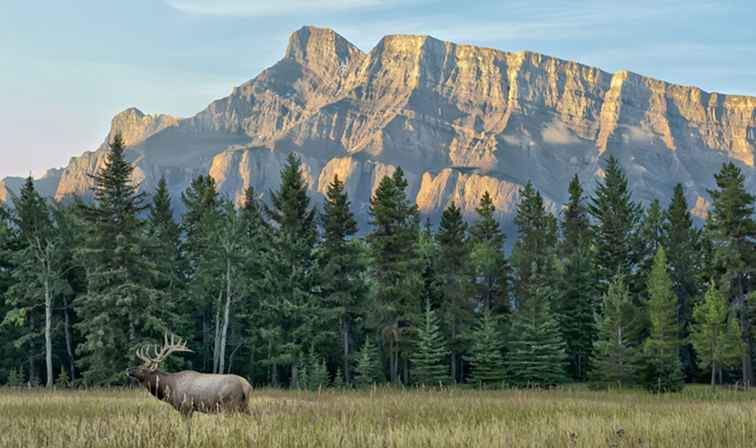 Canada's 5 beste nationale parken / 