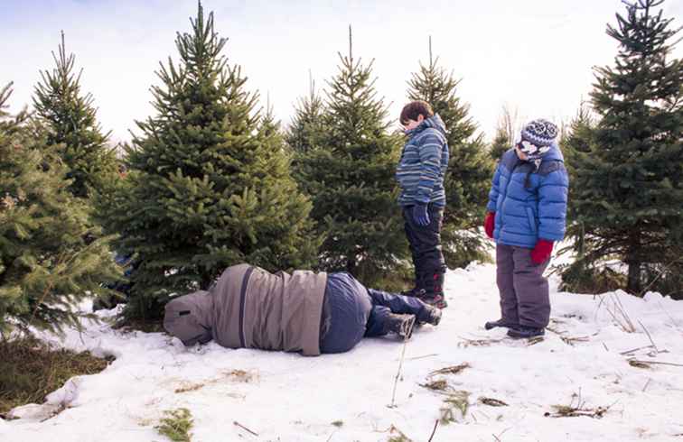 Snijd je eigen Arizona kerstboom / Arizona