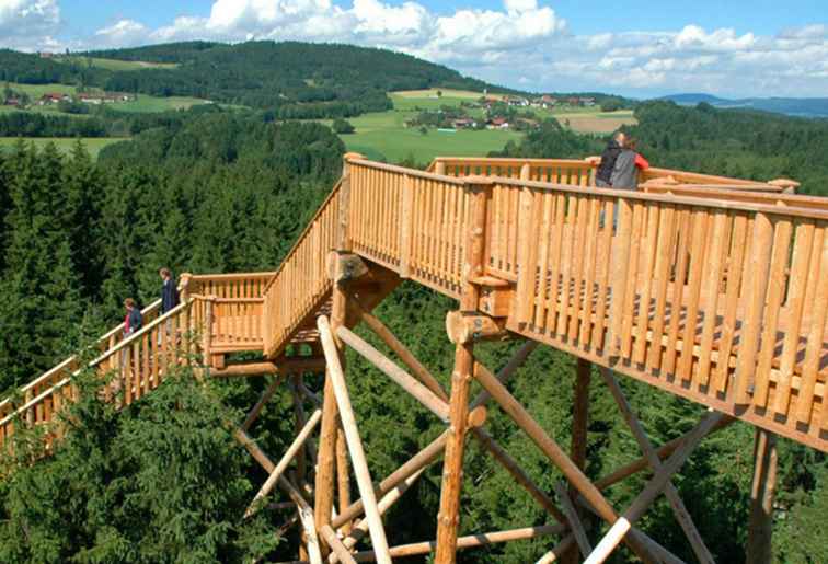 Donau-Kreuzfahrt mit Abenteuer von Disney