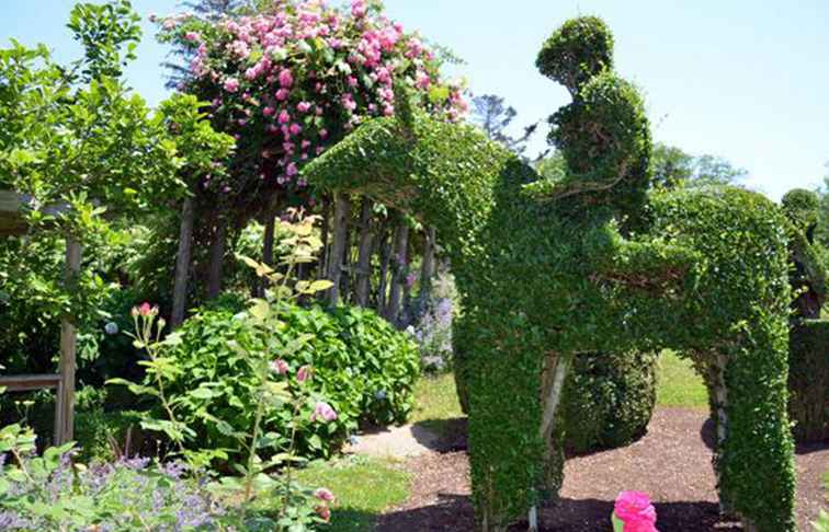 Animali verdi Un tour fotografico del giardino più stravagante del New England