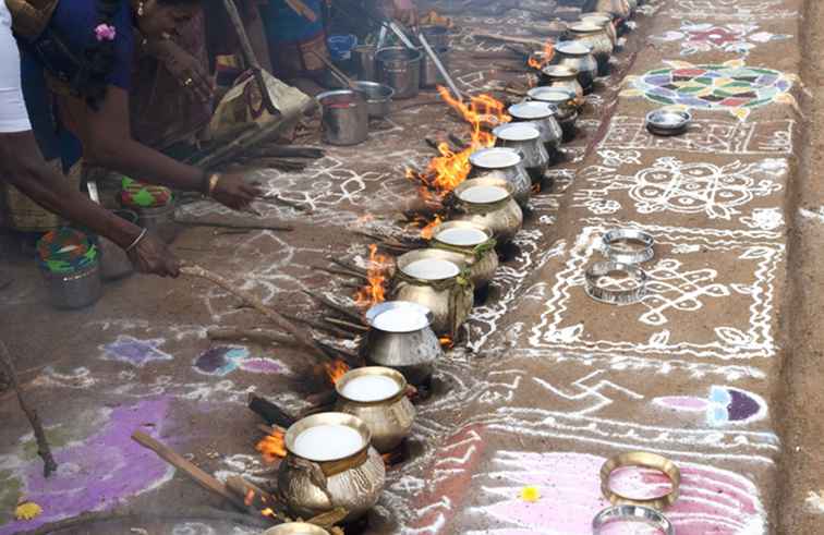 Guide du festival Pongal 2018 / TamilNadu