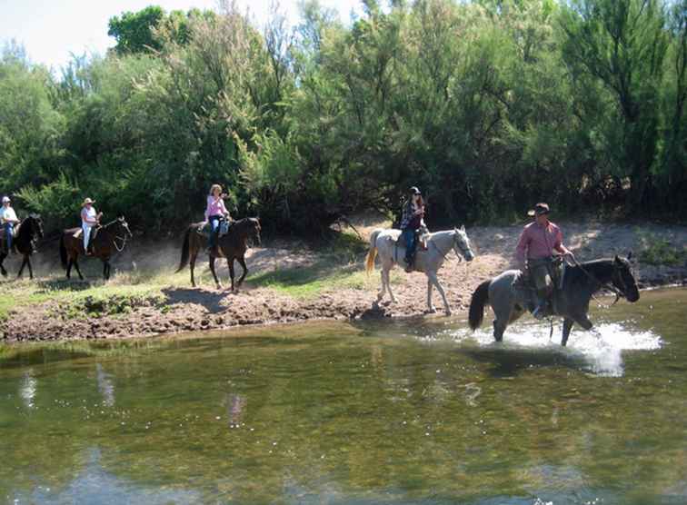 Ridning på stallen vid Fort McDowell Adventures / Arizona