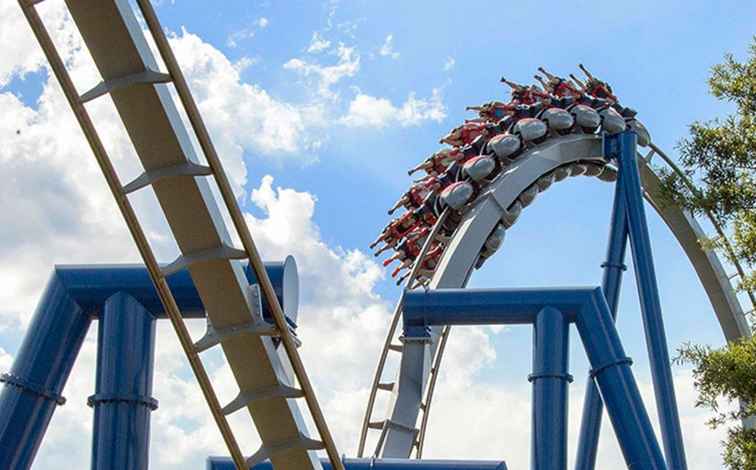 Wie bewerten Carowinds Roller Coasters? / Nordkarolina